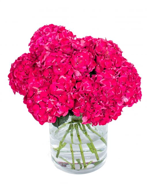 Pink Hydrangea Bouquet