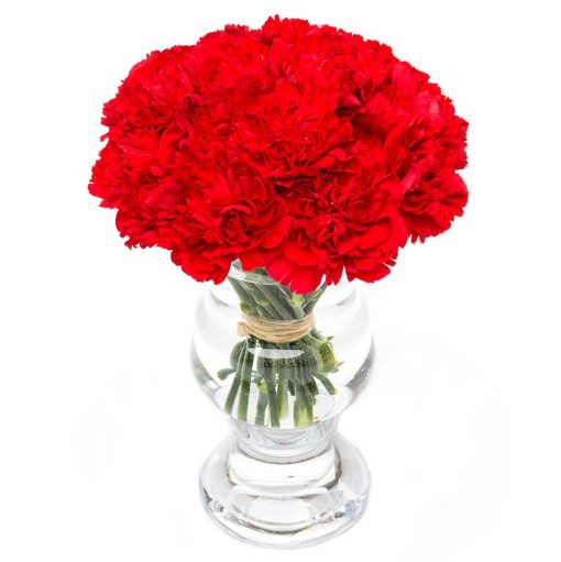 Subscription Flowers - Carnations - Image 7