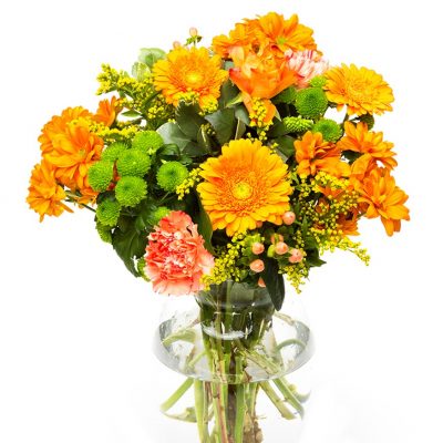 orange carnations