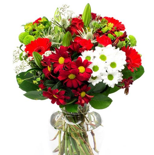 Carnations Bouquet - Red