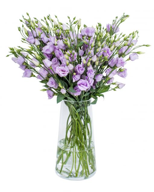 Lisianthus - Florist Choice