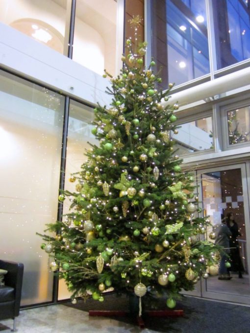 Office Christmas Tree - 8-9ft Nordmann Fir - Decorated - Image 2