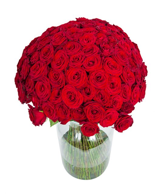 100 Long Stemmed Red Roses - Fresh Red Roses, Red Roses Delivery, 100 Red Roses, Red Roses Bouquet, 100 Red Roses Bouquet, Red Roses Delivered, Red Roses UK, Buy Red Roses, Send Red Roses - Image 3