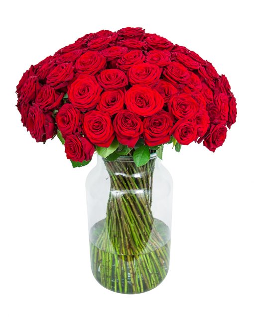 100 Long Stemmed Red Roses - Fresh Red Roses, Red Roses Delivery, 100 Red Roses, Red Roses Bouquet, 100 Red Roses Bouquet, Red Roses Delivered, Red Roses UK, Buy Red Roses, Send Red Roses