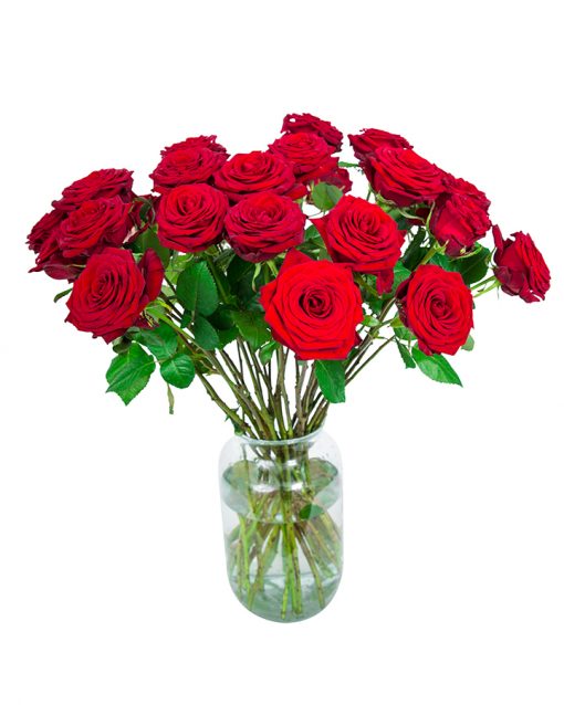 30 Red Roses