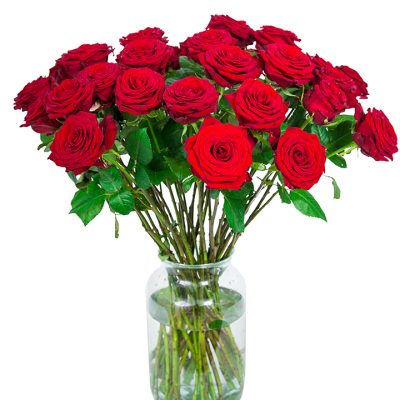 36 Red Roses