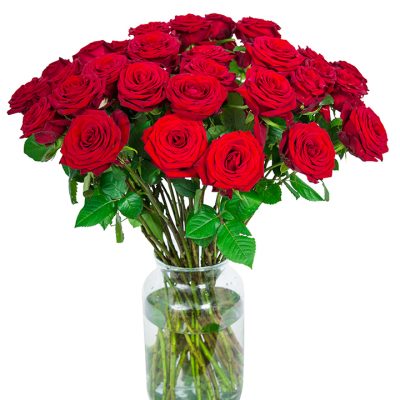 40 Red Roses