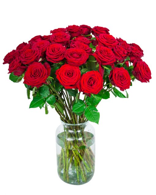 40 Red Roses