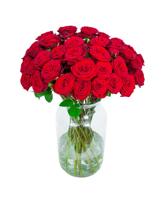 48 Red Roses