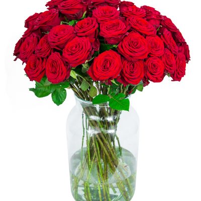 50 Red Roses