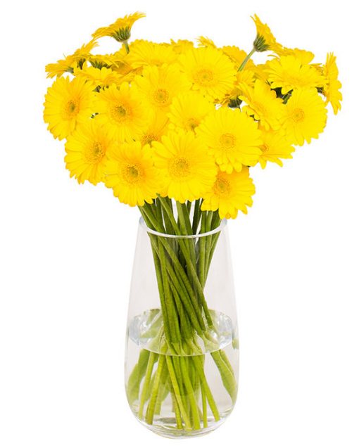 Gerbera Flower Subscriptions - Image 14