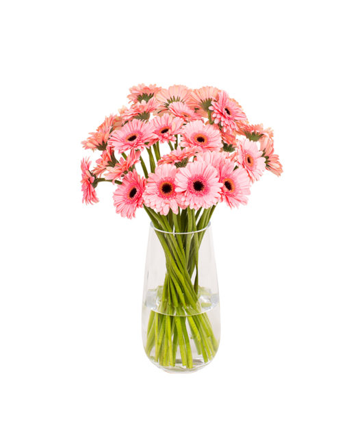 Gerbera Flower Subscriptions - Image 12