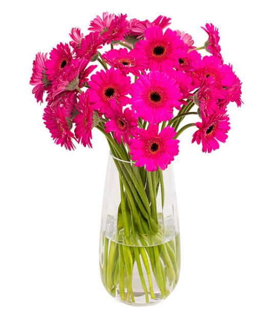 Gerbera Flower Subscriptions - Image 10