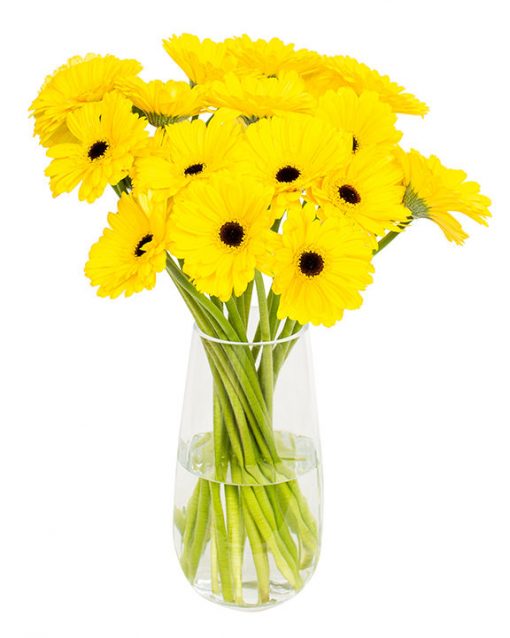 Gerbera Flower Subscriptions - Image 7