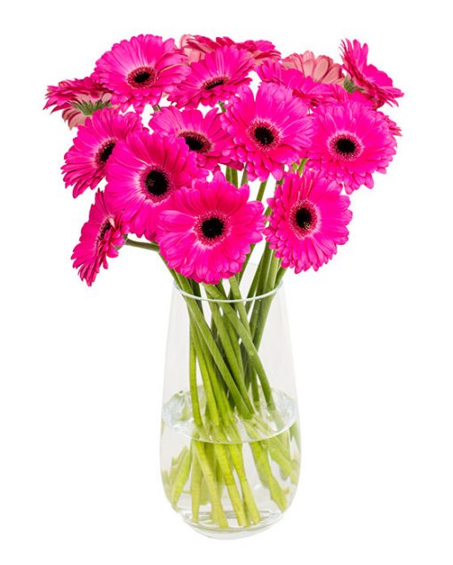 Gerbera Flower Subscriptions - Image 6