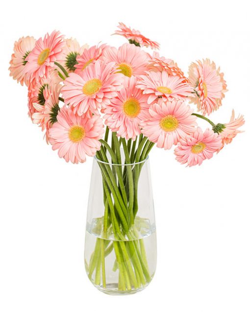 Gerbera Flower Subscriptions - Image 2