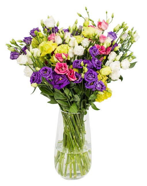 Lisianthus - Mixed