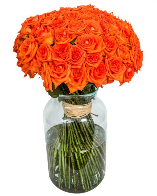 Long Stemmed Roses - Orange - Image 5