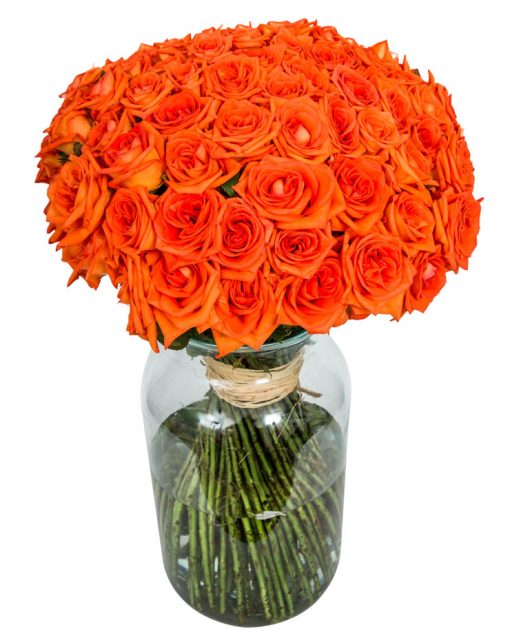 Long Stemmed Roses - Orange - Image 4