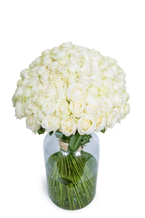 Long Stemmed Roses - White - Image 2