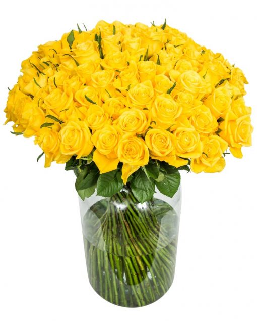 100 Long Stemmed Yellow Roses - Fresh Yellow Roses, Yellow Roses Delivery, Yellow Roses Bouquet, Yellow Roses by Post, Buy Yellow Roses, Yellow Roses Delivered,  Send Yellow Roses, Order Yellow Roses