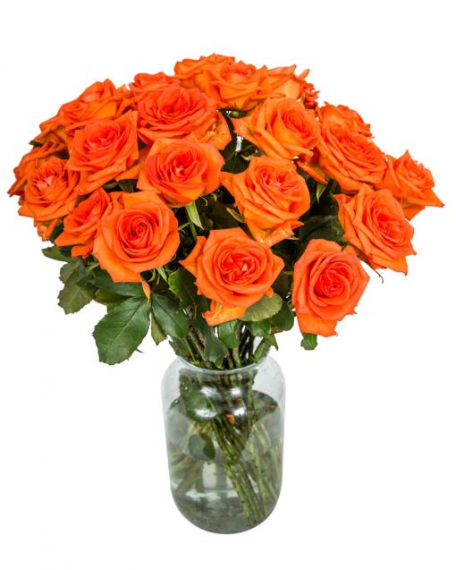 10 Long Stemmed Orange Roses – 10 Orange Roses, Fresh Orange Roses, Orange Roses Delivery UK, Orange Roses Bouquet, Orange Roses UK, Orange Roses Delivery, Orange Rose Bouquet