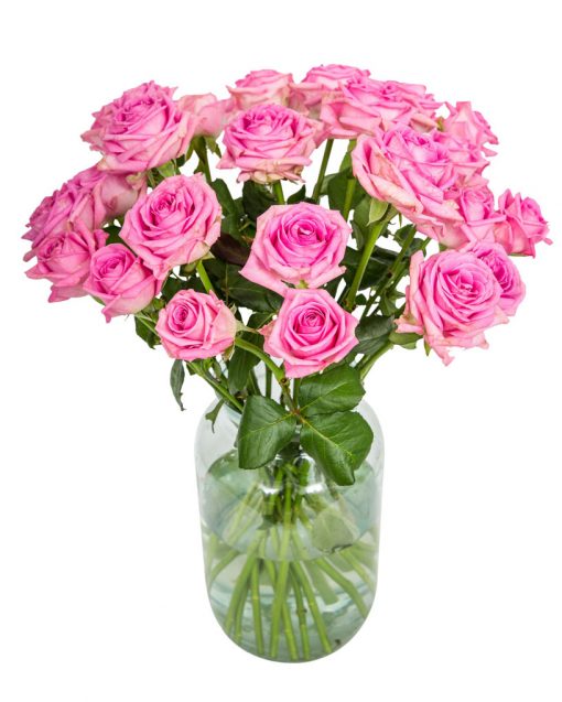 10 Long Stemmed Pink Roses - Fresh Pink Roses, Pink Roses, Pink Roses Bouquet, 10 Pink Roses, Order Pink Roses, Pink Rose Bouquet, Aqua Roses, Pink Roses Delivery, Bright Pink Roses, Send Pink Roses