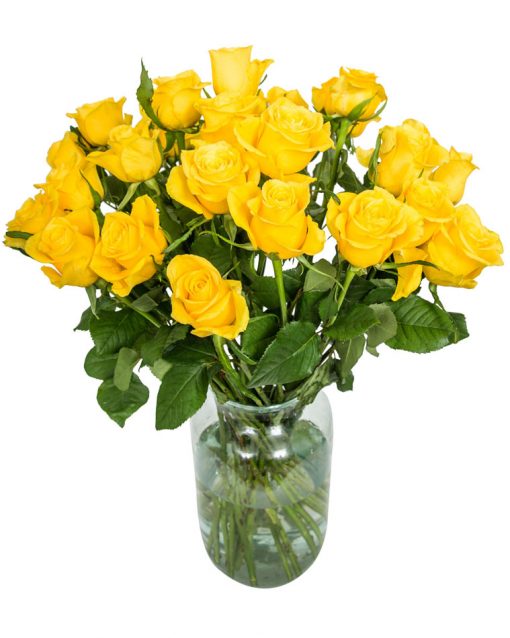 12 Long Stemmed Yellow Roses – Fresh Yellow Roses, 12 Yellow Roses, Yellow Roses Bouquet, Yellow Roses by Post, Buy Yellow Roses Delivered, Yellow Roses, Send Yellow Roses, Order Yellow Roses