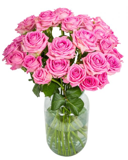 24 Long Stemmed Pink Roses - Fresh Pink Roses, Pink Roses, Pink Roses Bouquet, 24 Pink Roses, Order Pink Roses, Pink Rose Bouquet, Aqua Roses, Pink Roses Delivery, Bright Pink Roses, Send Pink Roses