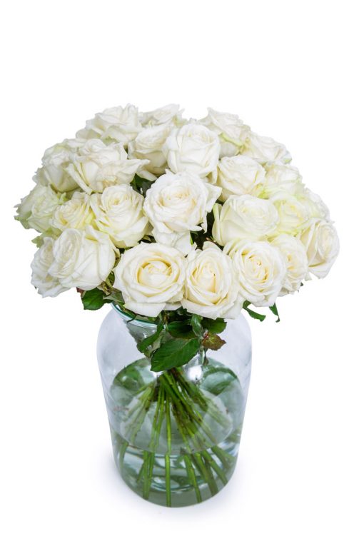 Long Stemmed Roses - White - Image 11