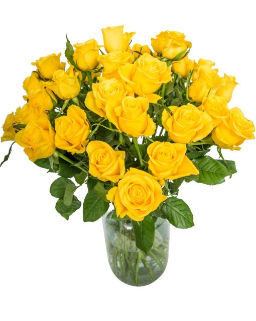 24 Long Stemmed Yellow Roses – Fresh Yellow Roses, 24 Yellow Roses, Yellow Roses Bouquet, Yellow Roses by Post, Buy Yellow Roses Delivered, Yellow Roses, Send Yellow Roses, Order Yellow Roses