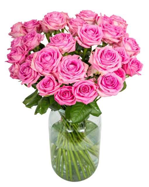 30 Long Stemmed Pink Roses - Fresh Pink Roses, Pink Roses, Pink Roses Bouquet, 30 Pink Roses, Order Pink Roses, Pink Rose Bouquet, Aqua Roses, Pink Roses Delivery, Bright Pink Roses, Send Pink Roses