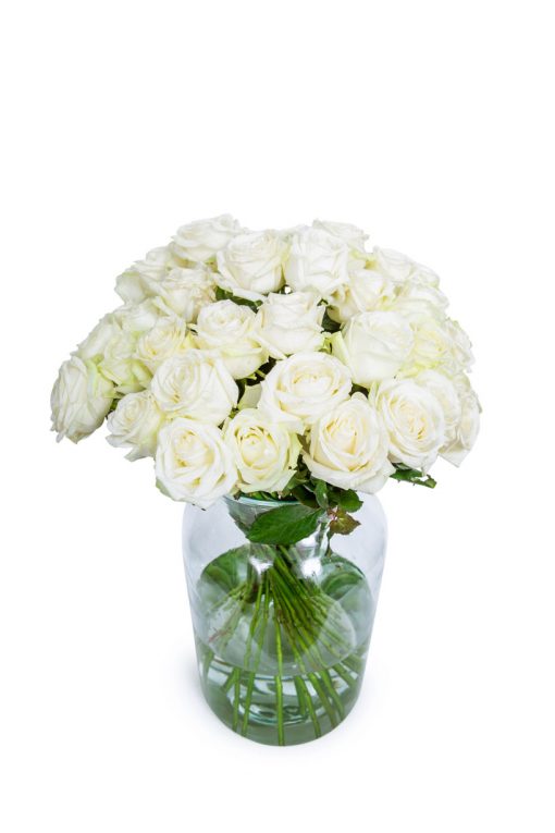 Long Stemmed Roses - White - Image 10