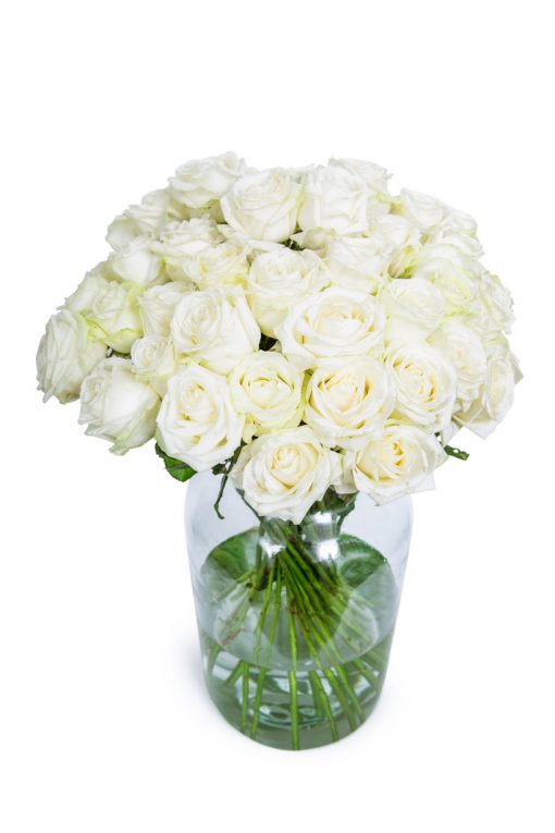 Long Stemmed Roses - White - Image 9