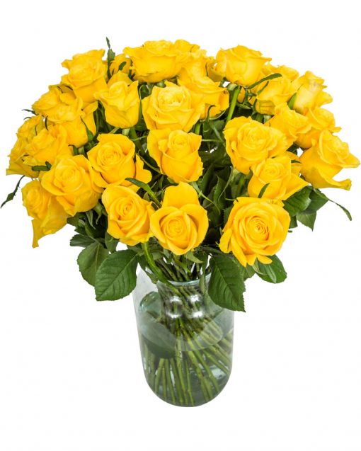 36 Long Stemmed Yellow Roses – Fresh Yellow Roses, 36 Yellow Roses, Yellow Roses Bouquet, Yellow Roses by Post, Buy Yellow Roses Delivered, Yellow Roses, Send Yellow Roses, Order Yellow Roses