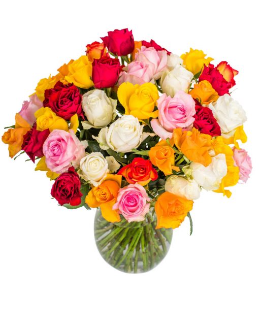 40 Long Stemmed Mixed Roses - Fresh Mixed Roses, Rainbow Roses, Mixed Roses Bouquet, 40 Mixed Roses, Order Rainbow Roses, Mixed Rose Bouquet, Mixed Roses, Rainbow Roses Delivery, Send Mixed Roses