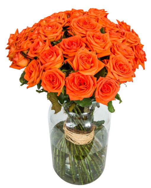 40 Long Stemmed Orange Roses – 40 Orange Roses, Fresh Orange Roses, Orange Roses Delivery UK, Orange Roses Bouquet, Orange Roses UK, Orange Roses Delivery, Orange Rose Bouquet