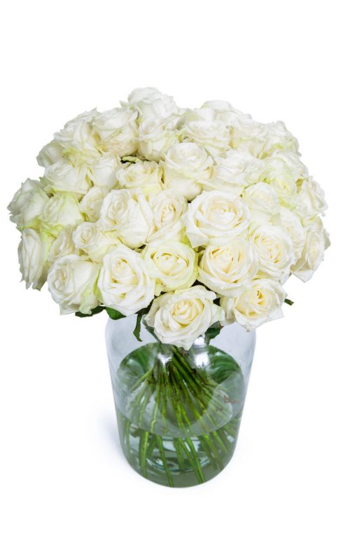 Long Stemmed Roses - White - Image 8