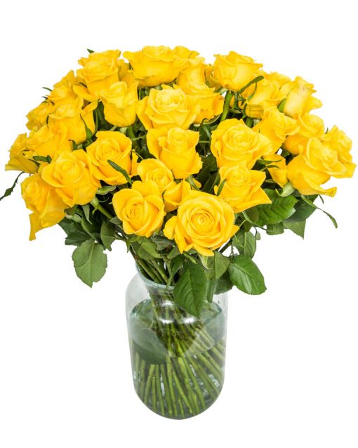 40 Long Stemmed Yellow Roses – Fresh Yellow Roses, 40 Yellow Roses, Yellow Roses Bouquet, Yellow Roses by Post, Buy Yellow Roses Delivered, Yellow Roses, Send Yellow Roses, Order Yellow Roses