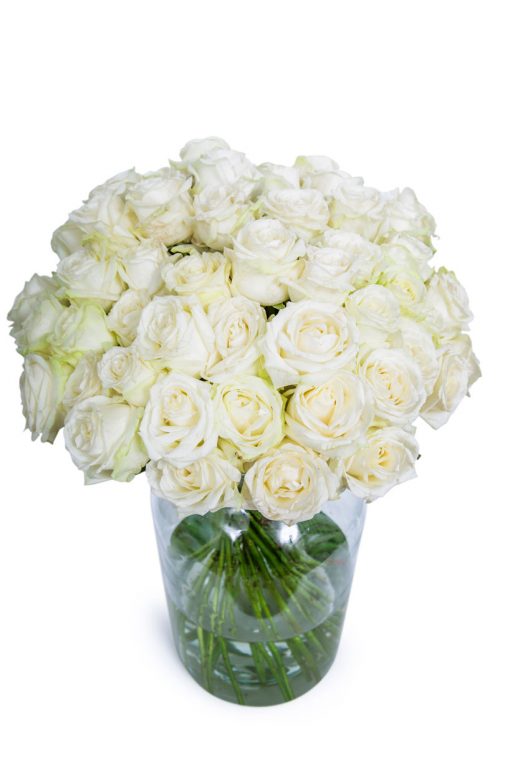 Long Stemmed Roses - White - Image 7