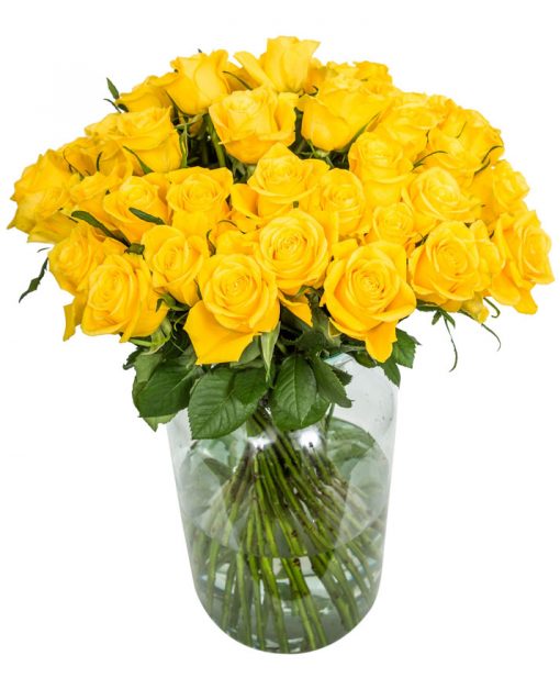 48 Long Stemmed Yellow Roses – Fresh Yellow Roses, 48 Yellow Roses, Yellow Roses Bouquet, Yellow Roses by Post, Buy Yellow Roses Delivered, Yellow Roses, Send Yellow Roses, Order Yellow Roses