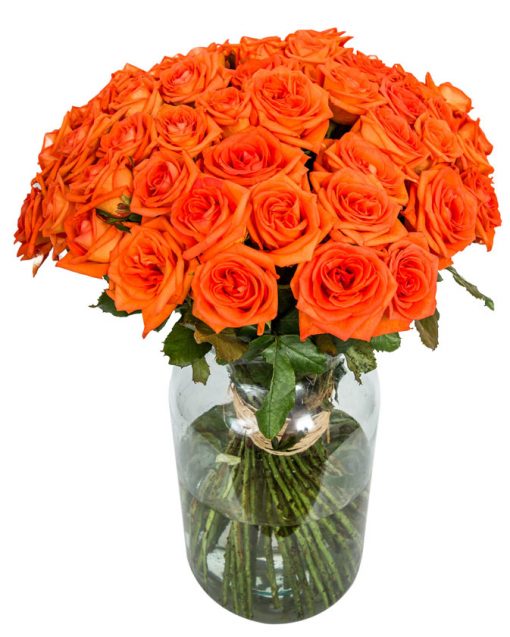 Long Stemmed Roses - Orange