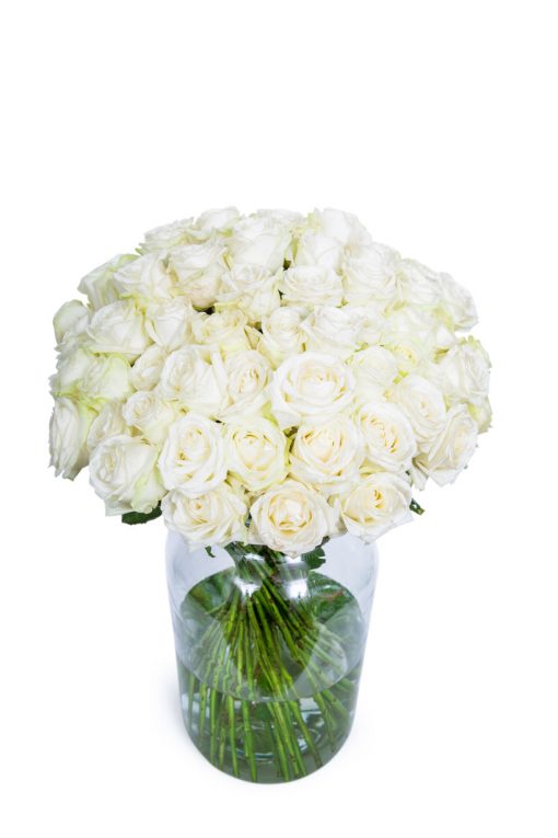 Long Stemmed Roses - White - Image 6