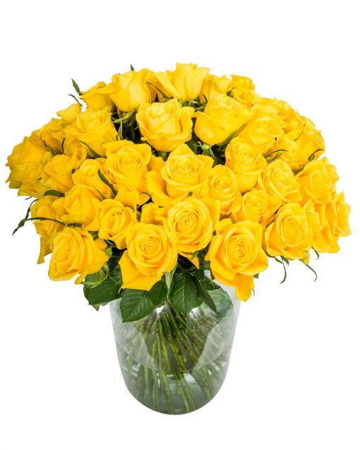 50 Long Stemmed Yellow Roses – Fresh Yellow Roses, 50 Yellow Roses, Yellow Roses Bouquet, Yellow Roses by Post, Buy Yellow Roses Delivered, Yellow Roses, Send Yellow Roses, Order Yellow Roses