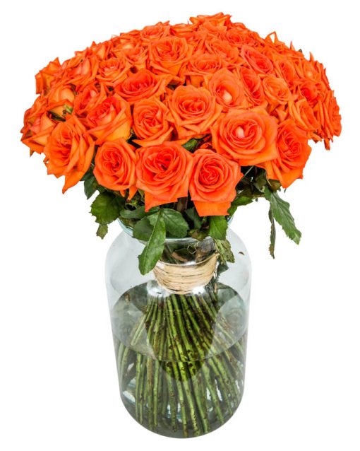 60 Long Stemmed Orange Roses – 60 Orange Roses, Fresh Orange Roses, Orange Roses Delivery UK, Orange Roses Bouquet, Orange Roses UK, Orange Roses Delivery, Orange Rose Bouquet