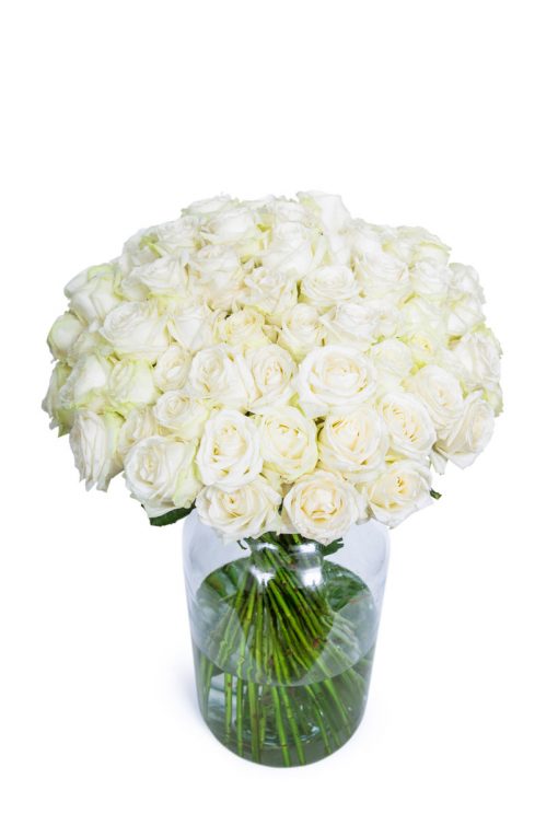 Long Stemmed Roses - White - Image 5