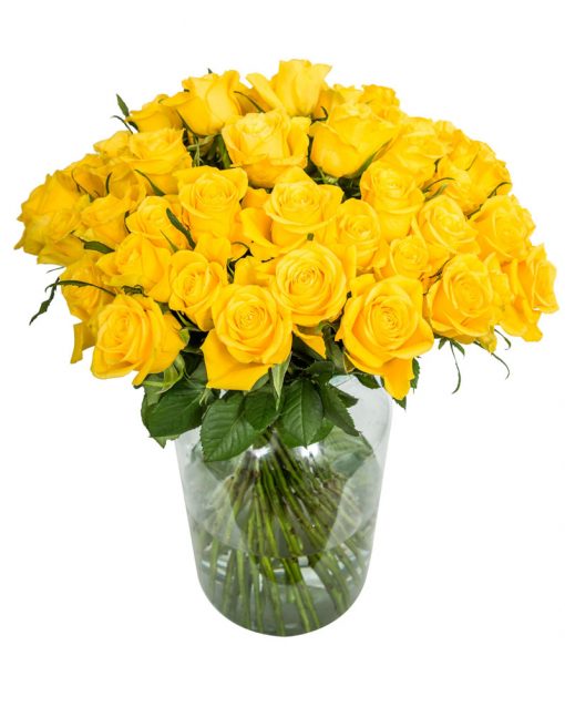 60 Long Stemmed Yellow Roses – Fresh Yellow Roses, 60 Yellow Roses, Yellow Roses Bouquet, Yellow Roses by Post, Buy Yellow Roses Delivered, Yellow Roses, Send Yellow Roses, Order Yellow Roses