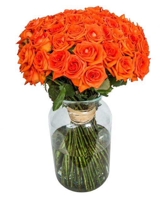 Long Stemmed Roses - Orange - Image 6