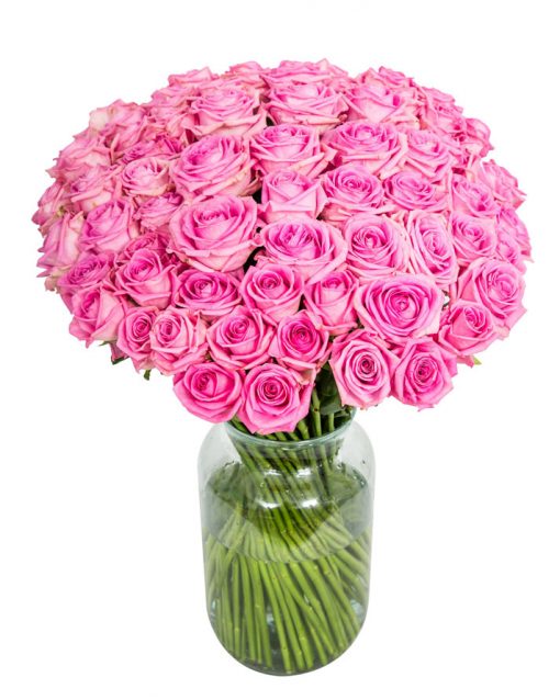 75 Long Stemmed Pink Roses - Fresh Pink Roses, Pink Roses, Pink Roses Bouquet, 75 Pink Roses, Order Pink Roses, Pink Rose Bouquet, Aqua Roses, Pink Roses Delivery, Bright Pink Roses, Send Pink Roses