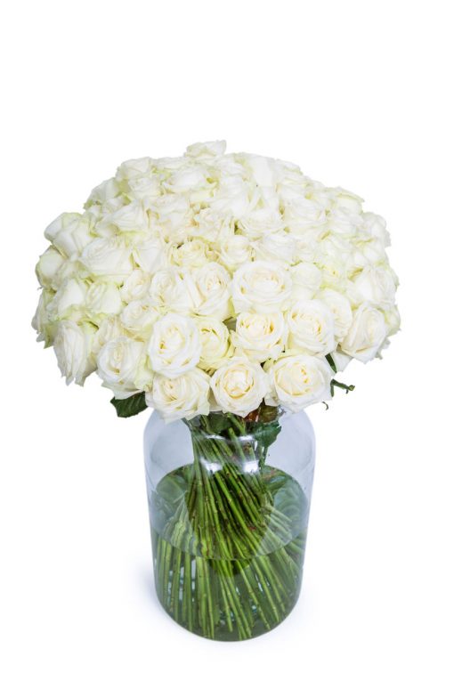 Long Stemmed Roses - White - Image 4